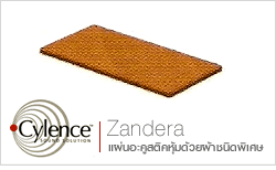 Фʵԡ Cylence Zandera